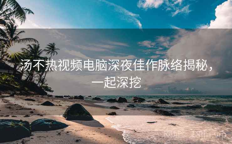 汤不热视频电脑深夜佳作脉络揭秘，一起深挖