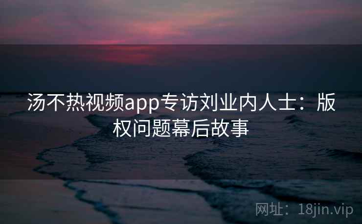 汤不热视频app专访刘业内人士：版权问题幕后故事