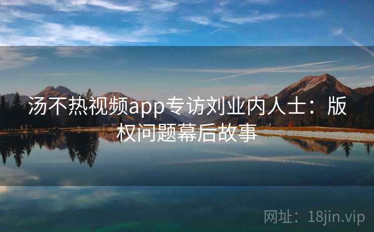 汤不热视频app专访刘业内人士:版权问题幕后故事